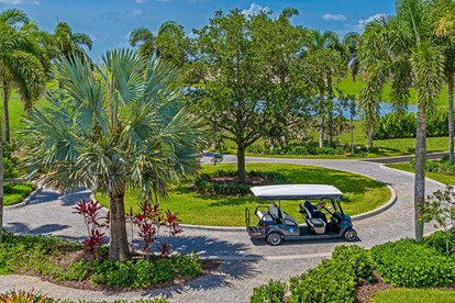 Golf Cart 2