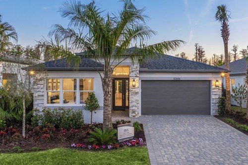 Ibis Front Elevation