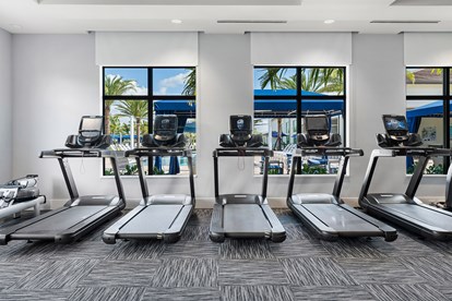 VT Club Gym Treadmills