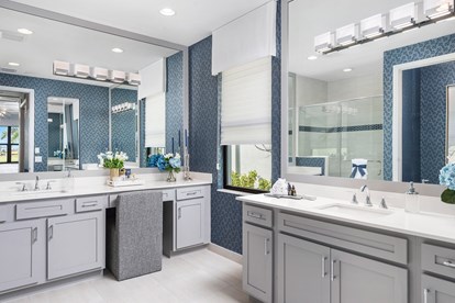 Abaco II Primary Bath