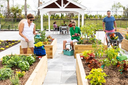 COMMUNITY GARDENS