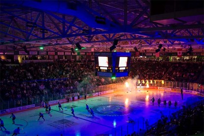 hertz arena